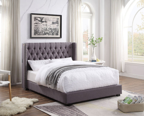 Bologna USB Fabric King Standard Bed Grey - Ashley Rose